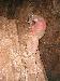 Vyfoceno 2006:11:12 14:28:23