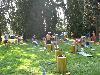 Vyfoceno 2007:08:07 10:01:54